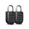 Padlock 2