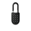 Padlock 2