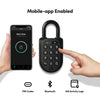 Padlock 2