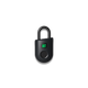 Padlock Lite