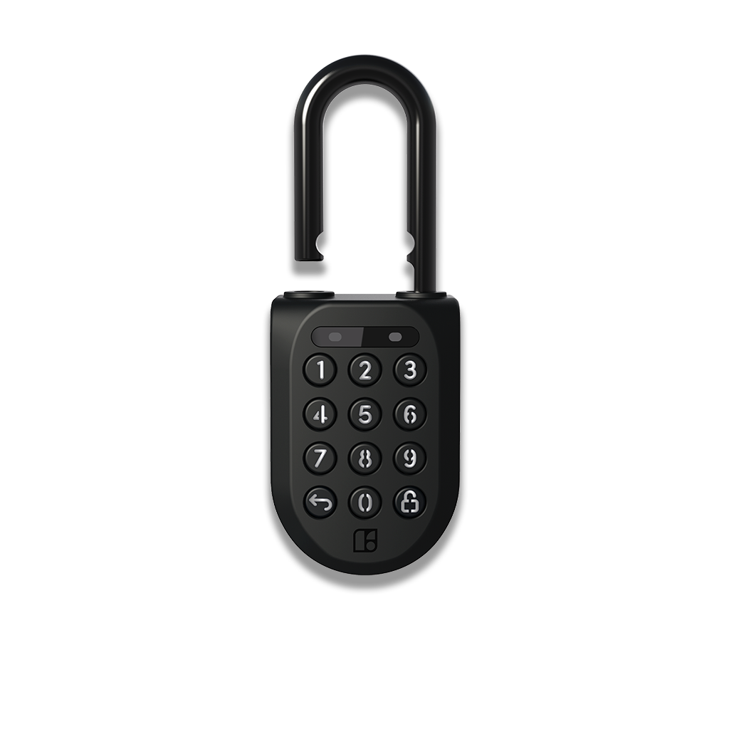 2 padlock on sale
